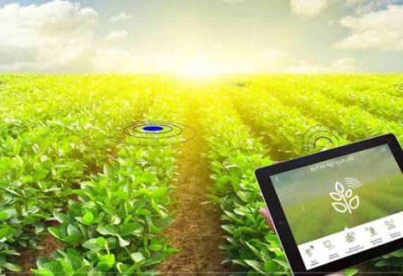 Top 4 app nông nghiệp được tin dùng nhất năm 2023