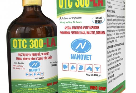 Tìm hiểu các loại thuốc điều trị bệnh tụ huyết trùng ở bò hiệu quả 