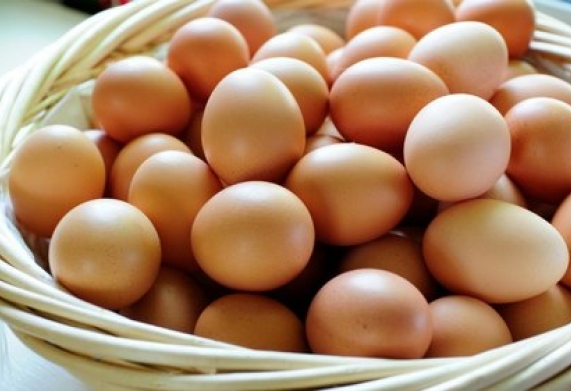 Cơ hội hợp tác với doanh nghiệp lớn ở Thổ Nhĩ Kỳ cho đơn hàng xuất khẩu trứng gà với số lượng lớn