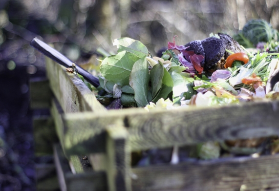 Chế phẩm sinh học compost maker nguyên liệu không thể thiếu khi ủ phân bón hữu cơ