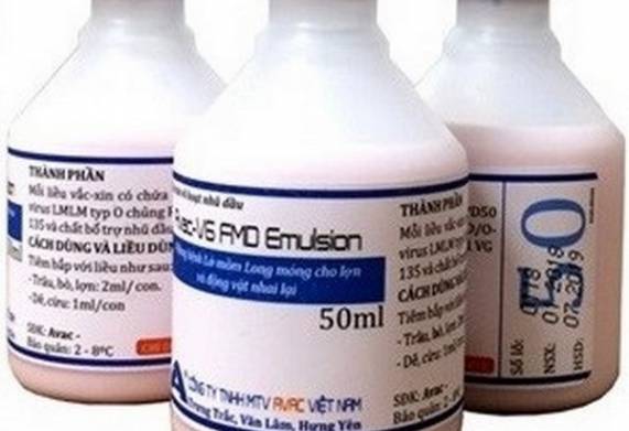Vắc xin lmlm cho heo hiện nay và một số lưu ý