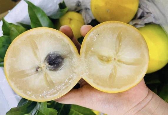 Giá trị dinh dưỡng của quả vú sữa hoàng kim 