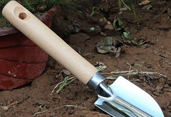 Dụng cụ bứng cây cảnh phổ biến hiện nay