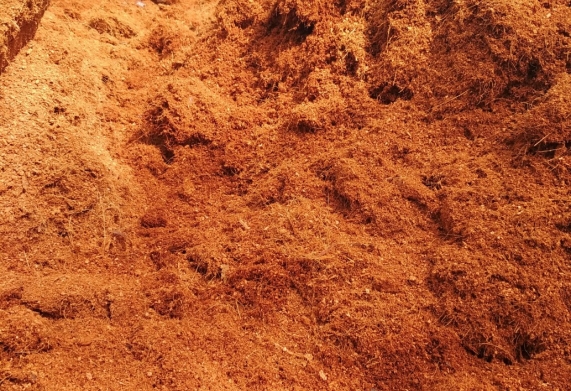 Xơ dừa trồng cây là gì? Tác dụng và cách ủ xơ dừa trồng cây hiệu quả