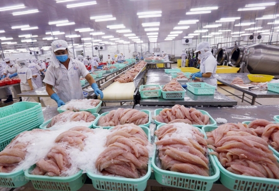 Tăng cường xúc tiến thương mại xuất khẩu thủy sản Việt Nam sang thị trường EU từ nay đến 2025