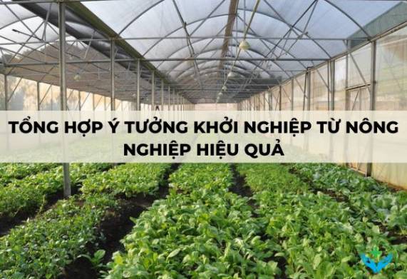 Tổng hợp các ý tưởng khởi nghiệp từ nông nghiệp hiệu quả nhất năm 2023