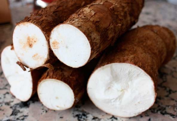 Cơ hội hợp tác với một doanh nghiệp tại Canada cho đơn hàng xuất khẩu củ sắn tươi